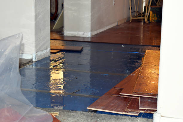 Professional Water Damage Restoration technician working in Round Pond, ME